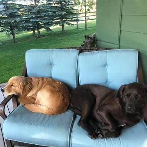 Meet your Posher, Becky